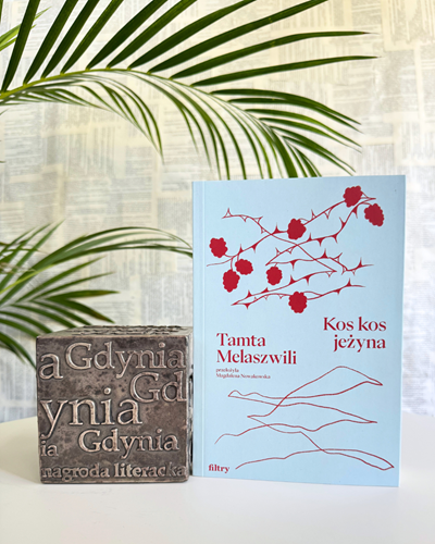 Zdjęcie książki Kos kos jeżyna opartej o kostkę NLG