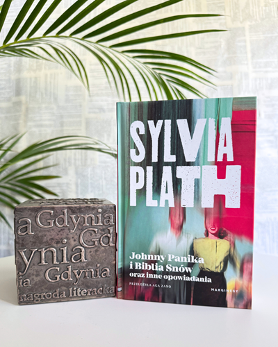 Zdjęcie książki Johnny Panika i inne opowiadania opartej o kostkę NLG