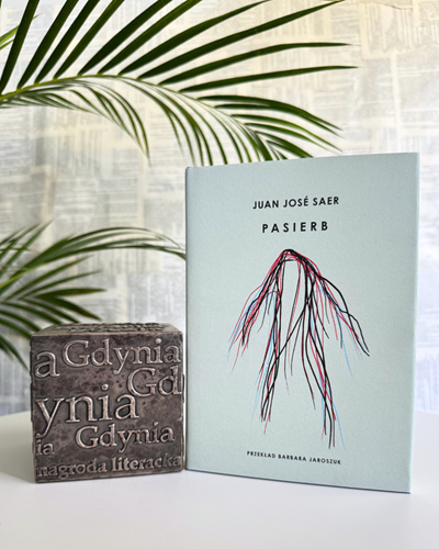 Zdjęcie książki Pasierb opartej o kostkę NLG