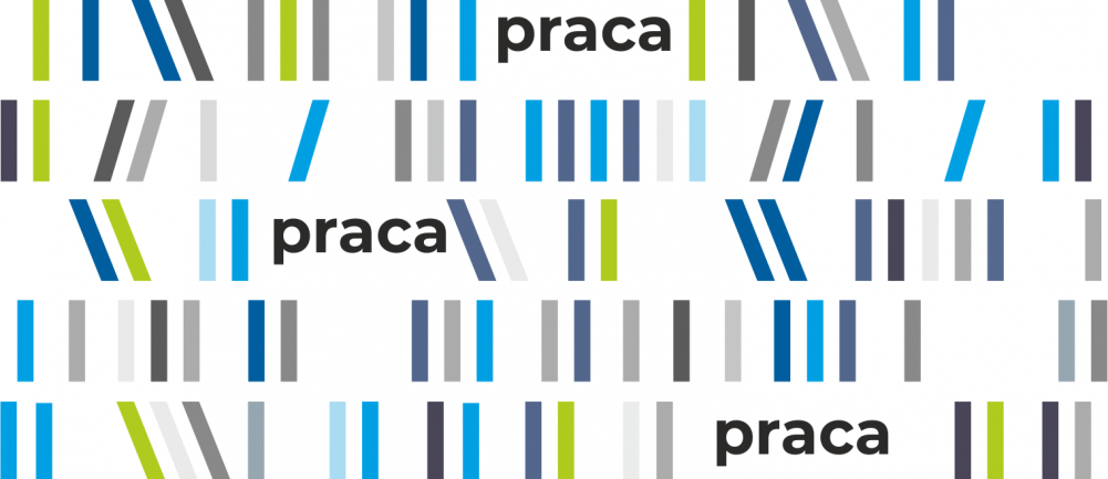 Na białym tle kolorowe, pionowe paski ustawione w rzędach, imitujące książki na półce. Pomiędzy nimi napisy "praca".