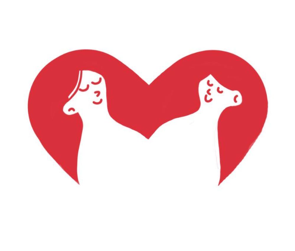 Rysunkowa grafika w białej i czerwonej kolorystyce - dwie kobiety ze spokojnym wyrazem twarzy. Ich bujne włosy tworzą będące za nimi serce. 