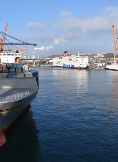 Port Gdynia: narodziny i pierwsze lata