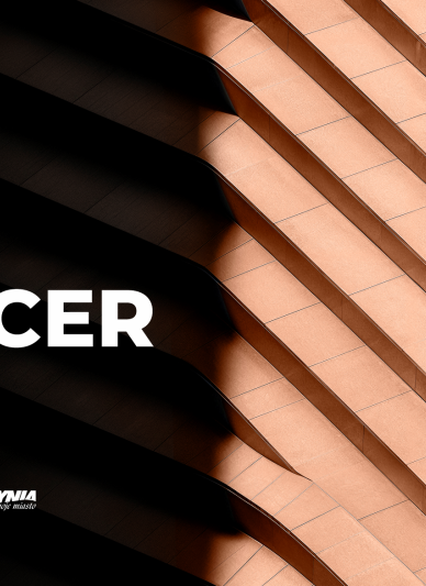 Jesienne sekrety Działek Leśnych