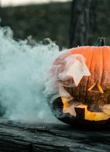 Potwory w bibliotece! Kolorowe Halloween
