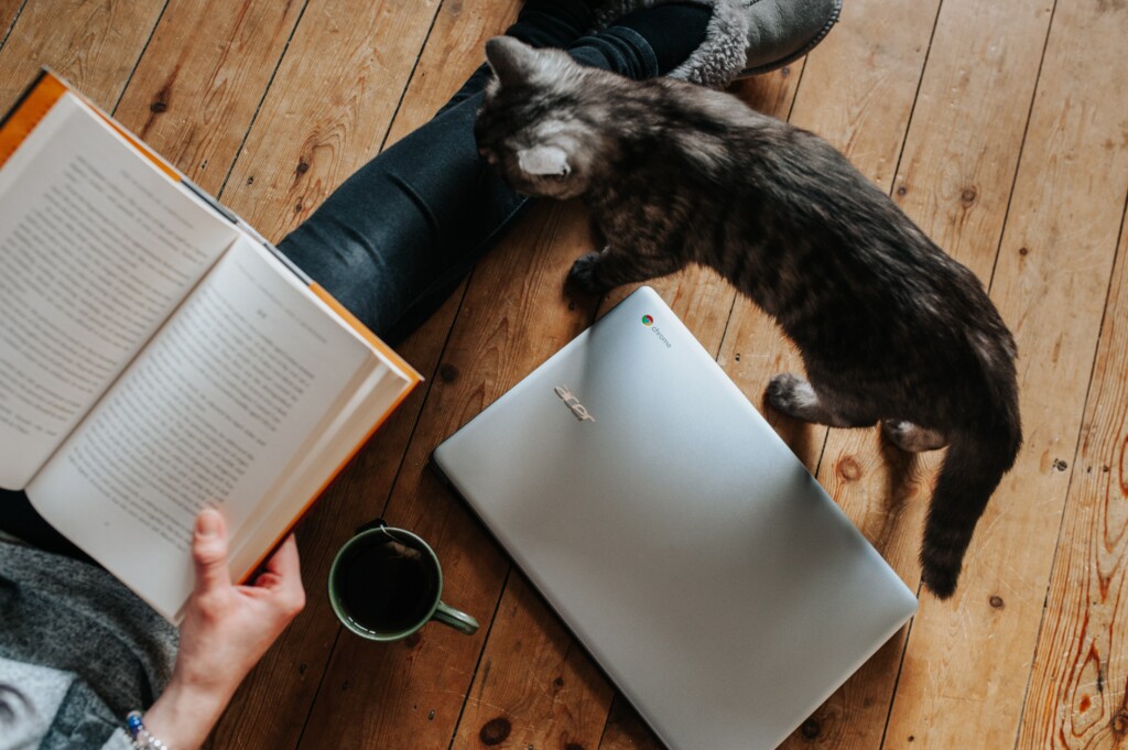 anete-lusina-ev0iwjzqje8-unsplash.jpg
