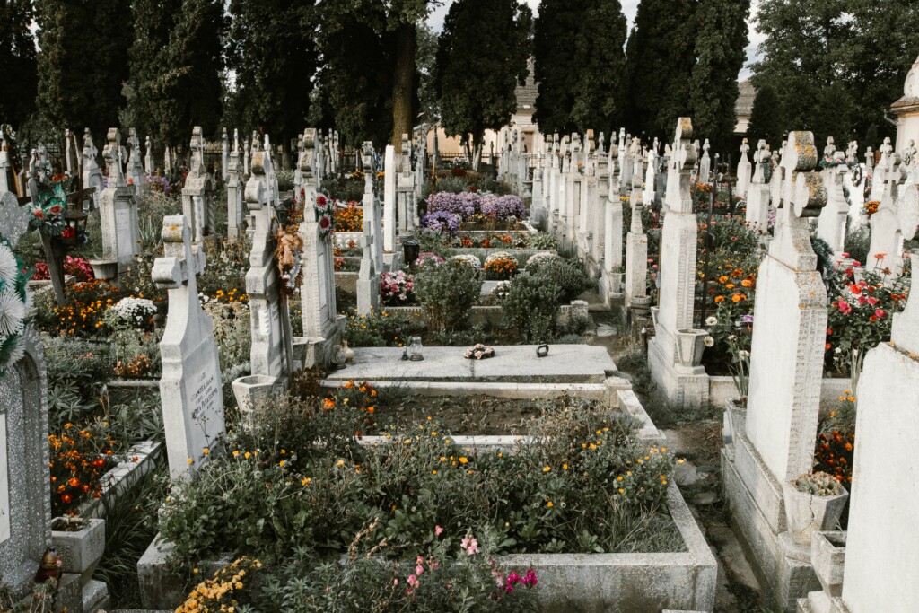 anton-darius-lqmtxkvbmuw-unsplash