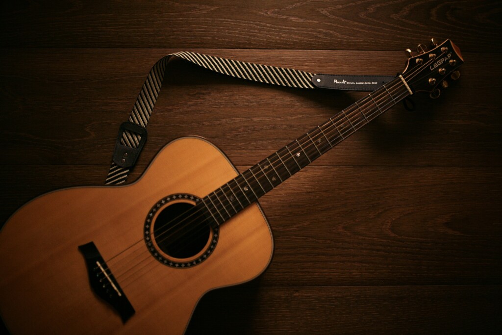 f1 gitara