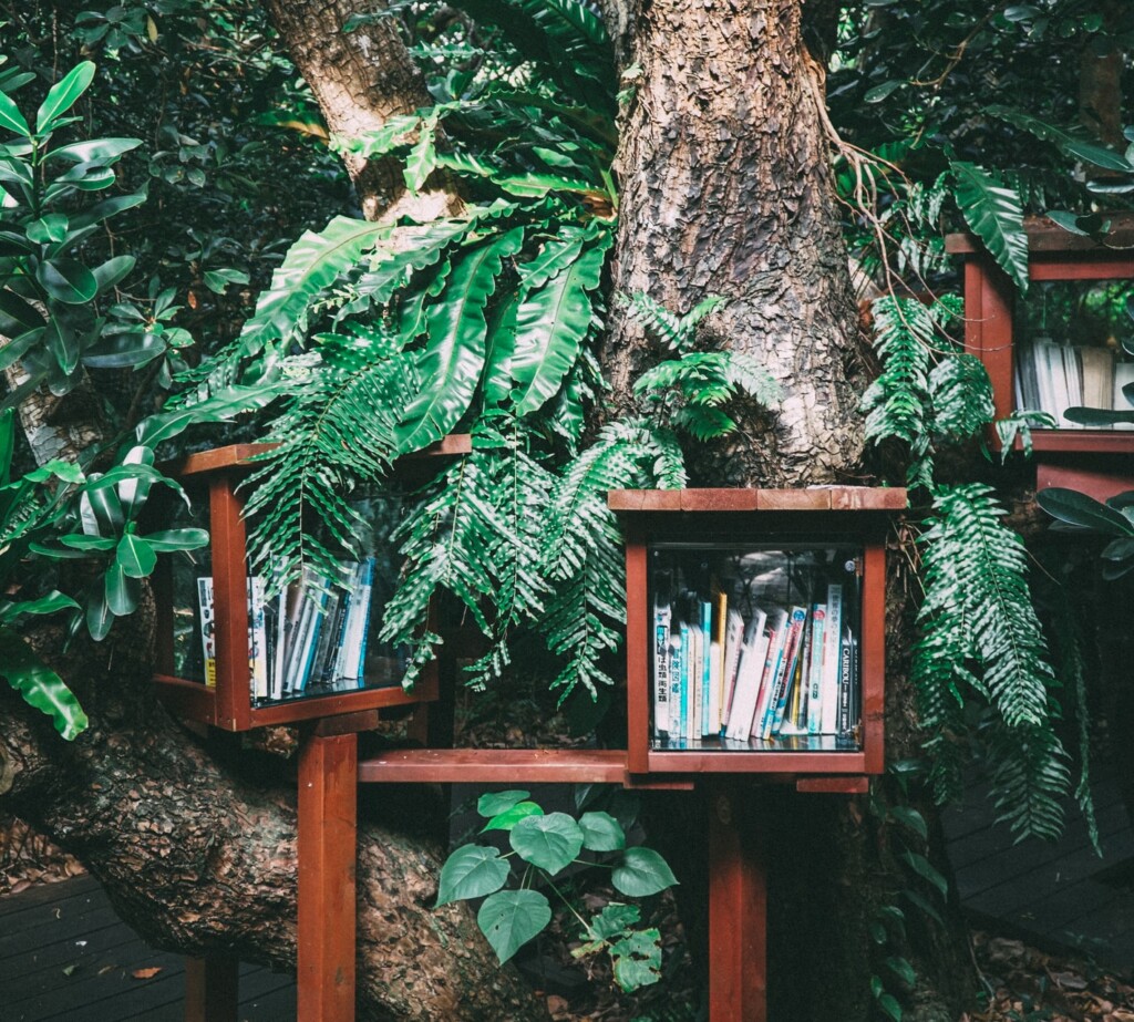 hitoshi-suzuki-1coctd3prcg-unsplash.jpg