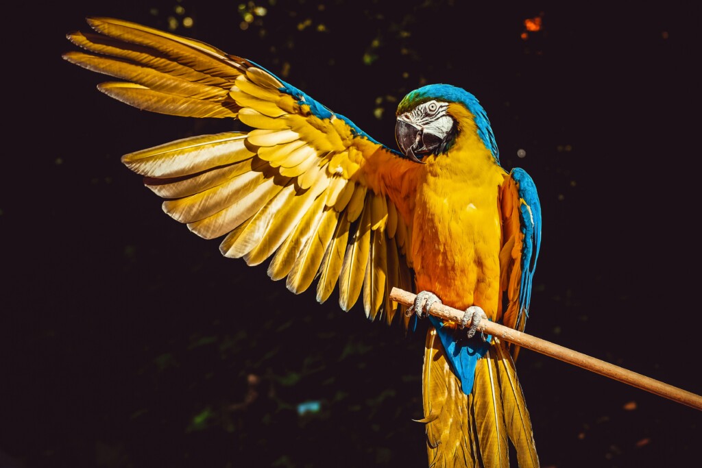 ilona-frey-0ukyrkcoutm-unsplash