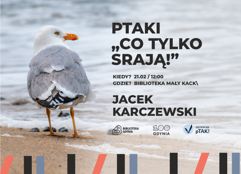 ptaki-luty-may-kack-www