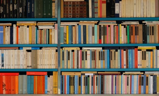 Książki na kolorowym regale.