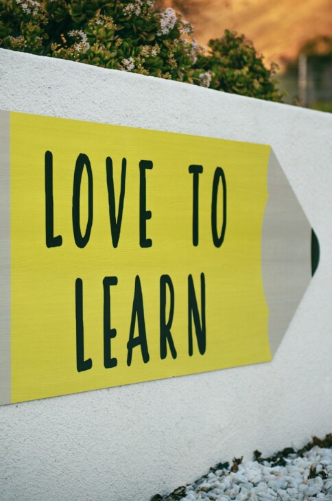 Duża naklejka ścienna przedstawiająca oł&oacute;wek z napisem "Love to learn"