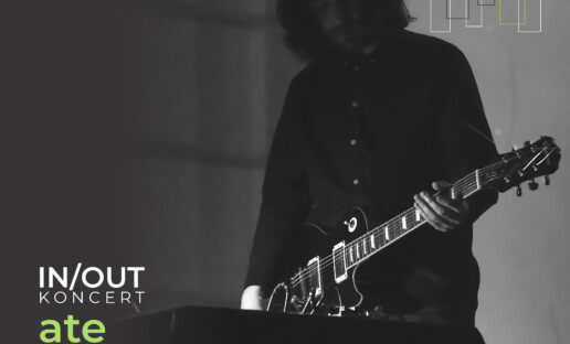 Petar Petkov - mężczyzna w długich włosach z gitarą w rękach. Na dole napis: "IN/OUT KONCERT. Ate Petar Petkov". Poniżej belka z logotypami: Biblioteka Gdynia, Stulecie Gdyni, Budżet Obywatelski, Anxious Magazine, IN/OUT.